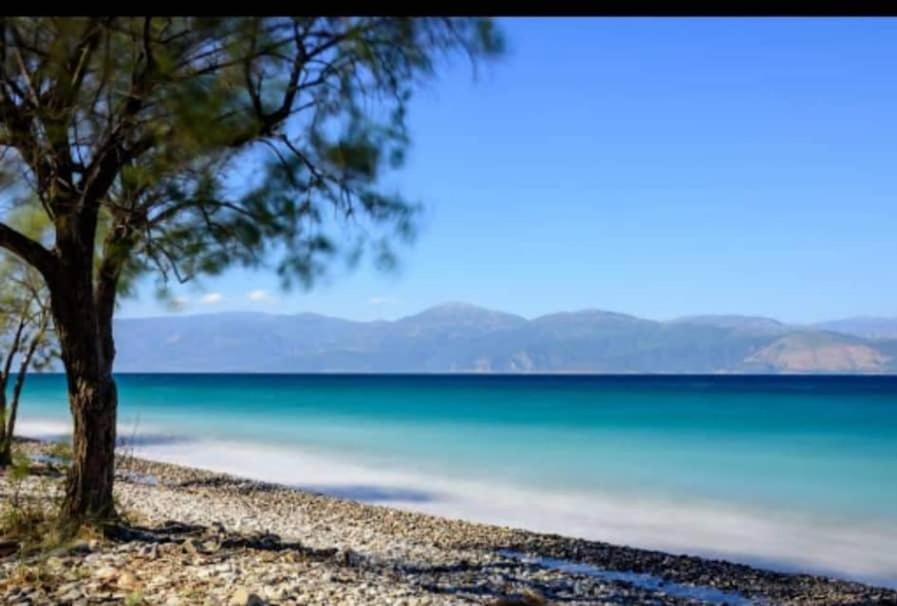 F.K Room Aigio Dış mekan fotoğraf